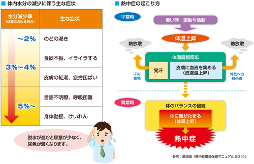 熱中症の起こり方の図