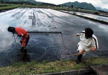 特別賞<br />水道産業新聞社社長賞『若い後継者』