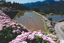 優秀賞<br />全国簡易水道協議会会長賞『育　水』