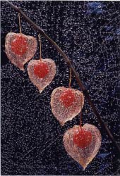 特別賞<br />給水工事技術振興財団理事長賞『水の宝石』