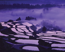 優秀賞<br />全国簡易水道協議会会長賞『流霧の棚田』