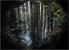 優秀賞<br />日本水道協会会長賞『泉』