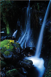 水と自然賞<br />全国簡易水道協議会会長賞『春の渓谷』