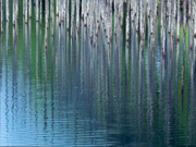 『爽やかな湖水』