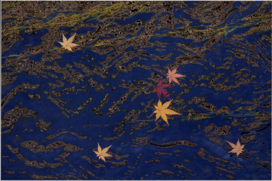 水道産業新聞社賞『流れる落葉』