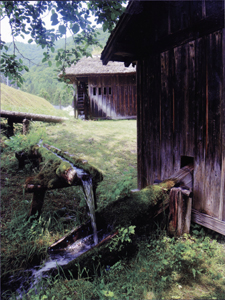 特別賞<br />全国簡易水道協議会会長賞『湧水の恵み』