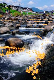 『ダッグレース』