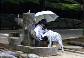 『美味しい水』