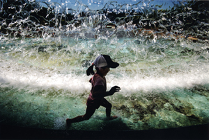 特別賞<br />日本水道工業団体連合会会長賞『水のカーテン②』