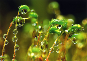 『恵（めぐみ）』