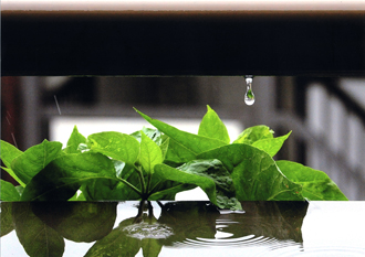 『最初の一滴』