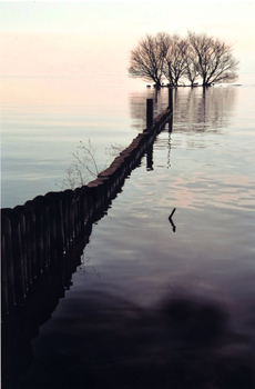 特別賞<br />日本水道工業団体連合会会長賞『夕景』