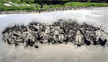 特別賞<br />審査委員長賞『パフォーマンス』