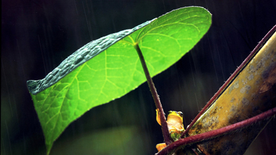 第５７回　入選作品