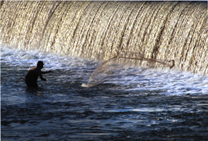 特別賞<br />審査委員長賞『網打ち』