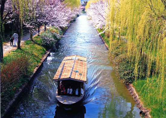 【平成２８年度全国会議（水道研究発表会）（会場：京都市）開催記念】<br />京都市公営企業管理者上下水道局長賞『伏見疏水の春』