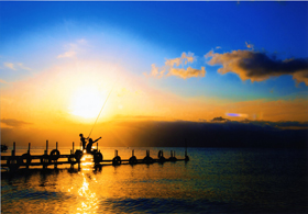 『水が奏でる優しさ』