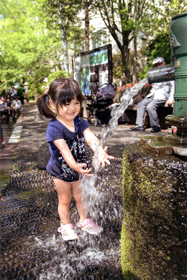 『水遊びに夢中』