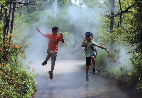 グランプリ（厚生労働大臣賞）『ウォーター　シャワー』
