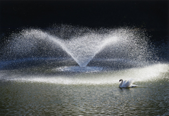 特別賞<br />全国上下水道コンサルタント協会会長賞『輝く水の翼』