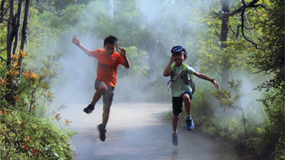 第６１回　入選作品