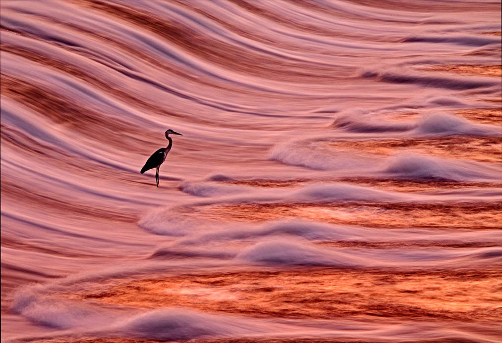 『流れに負けず』