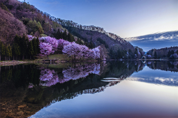 特別賞<br />日本水道工業団体連合会会長賞『春到来』