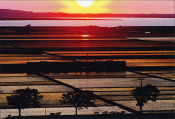 特別賞<br />全国上下水道コンサルタント協会会長賞『水田夕陽』