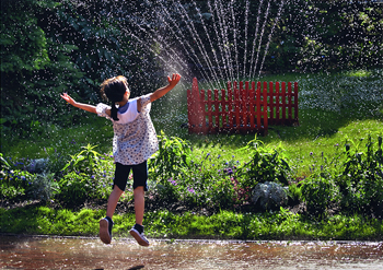 特別賞<br />全国管工事業協同組合連合会会長賞『初夏にきらめく』