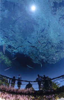 水道産業新聞社社長賞『魅惑の水の世界』
