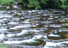 『清流を登る香魚と待つ釣り人』