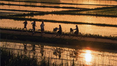 第６３回　入選作品