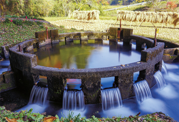 特別賞<br />全国簡易水道協議会会長賞『実りの秋』