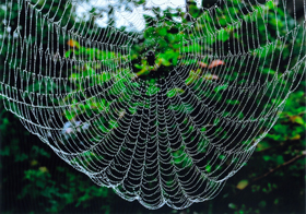 『水取（ミズトリ）』