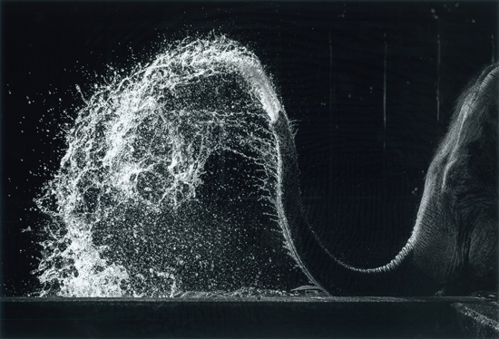 グランプリ（厚生労働大臣賞）『水あそび』