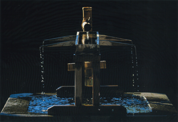 特別賞<br />審査委員長賞『滴り』