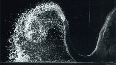 第６５回　入選作品