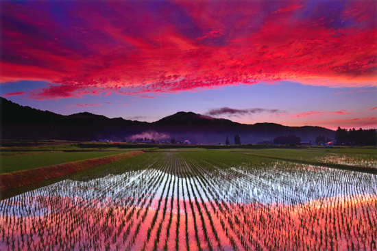 グランプリ（環境大臣賞）『夕焼けの窓』