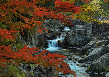 特別賞<br />水道技術研究センター理事長賞『峡谷の秋』