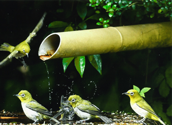 特別賞<br />全国上下水道コンサルタント協会会長賞『水滴』