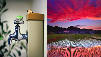 第６６回　入選作品