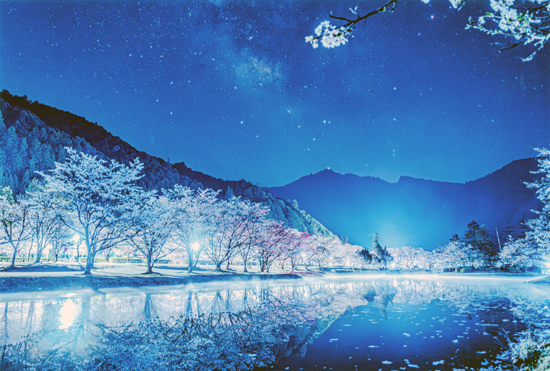 グランプリ（環境大臣賞）『水辺のロマンス』