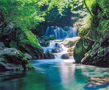 特別賞<br />水道技術研究センター理事長賞『翠の清流』