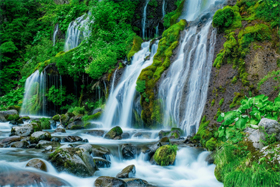 『涼を求めて』