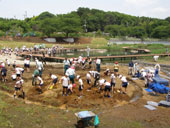 “夢の調整池”が実現／４者協働の水辺づくり　千葉市で